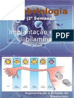 Implantao e Disco Bilaminar