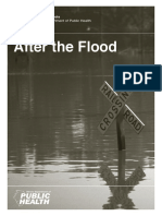 After the Flood