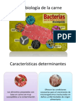 Microbiología de La Carne