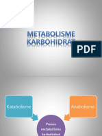 Metabolisme Karbohidrat