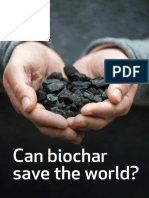 Can Biochar Save The World?