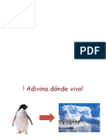 Adaptaciones