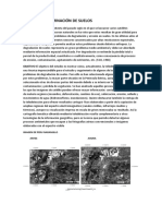 Contaminación de Suelos1236657