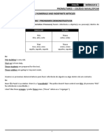 Demonstrative Pronouns, Numerals and Indefinite Articles