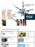 体幹トレお腹らへん中心 加藤 PDF