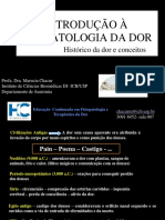 Aula-de-Introdução-à-Fisiopatologia-da-Dor Farmaco PreRQ.pdf