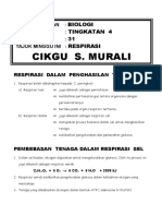 BIO-F4-bab8 - Pel-31