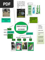 Actividad Mapa Mental Pt. Carrillo