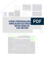 Curso Basico Metsim 2017 (2 Días)