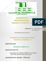 Diagnostico Organizacional Trabajo Final Grasas El Puerto C.A