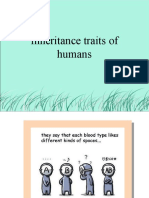 Inheritance Traits of Humans 2