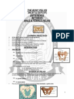 The Bony Pelvis Difference Between Male & Female Pelvis: (Inlet & Outlet)