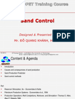 C6 Sand Control