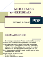 Gametogenesis Invertebrata