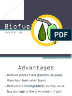 Biofuels: Amy You - 10T