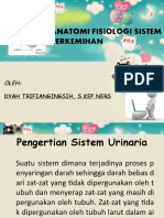 Anfis Sistem Perkemihan