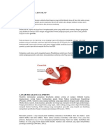 LP GASTRITIS