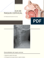 Tema 1.3 .1 Biomecánica Raquis Cervical