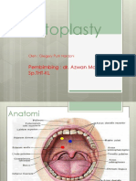 Palatoplasty