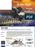 Boeing EA-18G Flip Book 2006