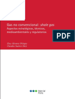 Gas-no-convencional-shale-gas.pdf