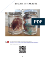 Download Diaphonization  Clearing and Staining Protocol by ptrisja SN354718383 doc pdf