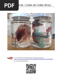 Diaphonization / Clearing and Staining Protocol