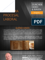 REFORMA PROCESAL LABORAL (Charla Lic. Germán Serrano Viernes 23 Junio 20....pdf