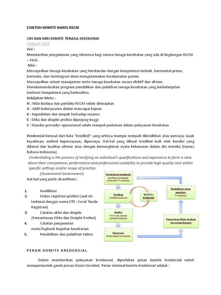 Visi dan Misi Komite Nakes RSCM | PDF