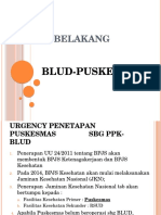 BLUD-PUSKESMAS, Latar Belakang