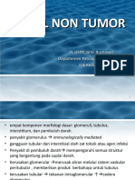 Ginjal Non Tumor
