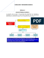 Guia Modulo 1 