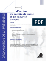 Plan_action_CSS_exemples.pdf