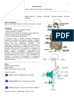 Fisiologia 5