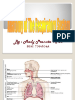 Kuliah Icsada Anatomi Respirasi