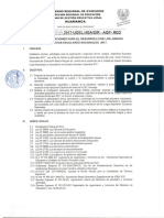 Directiva N°004 JDEN 2017 ESPECIFICAS.pdf