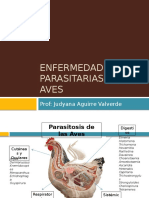 Enfermedades Parasitarias de Las Aves