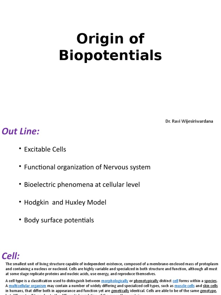 Understanding Biopotentials in Cells | PDF | Brainstem | Membrane Potential