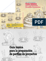 guia_basica_perfiles_proyectos.pdf