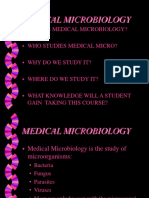 A Snap Shot at Medical Microbiology