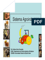 [Referência] Sistema Agroindustrial - Adriano Fernandes (Aula 1).pdf