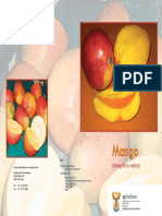 Brochure Mango
