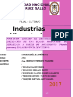 Proyecto de Ing Economica