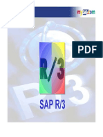 9-SI1-sapR3.pdf