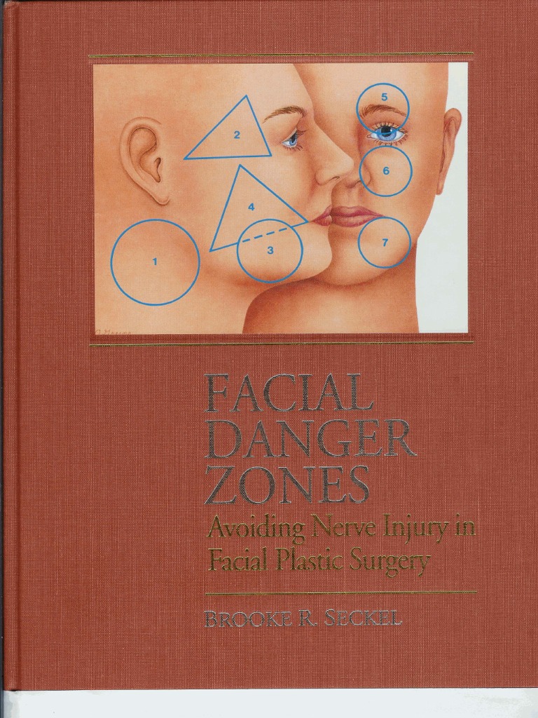 Facial Danger Zones Avoiding Nerve Injury in Facial Plastic Surgery