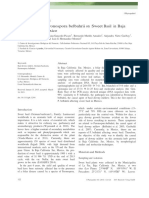 First Report of Peronospora Belbahrii On Sweet Basil in Baja California Sur, Me Xico