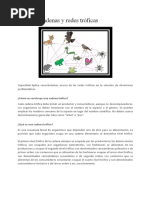 Cadenas y Redes Tróficas