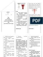 Leaflet Iud