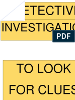 Detective: Investigation