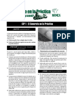 CIP1es PDF